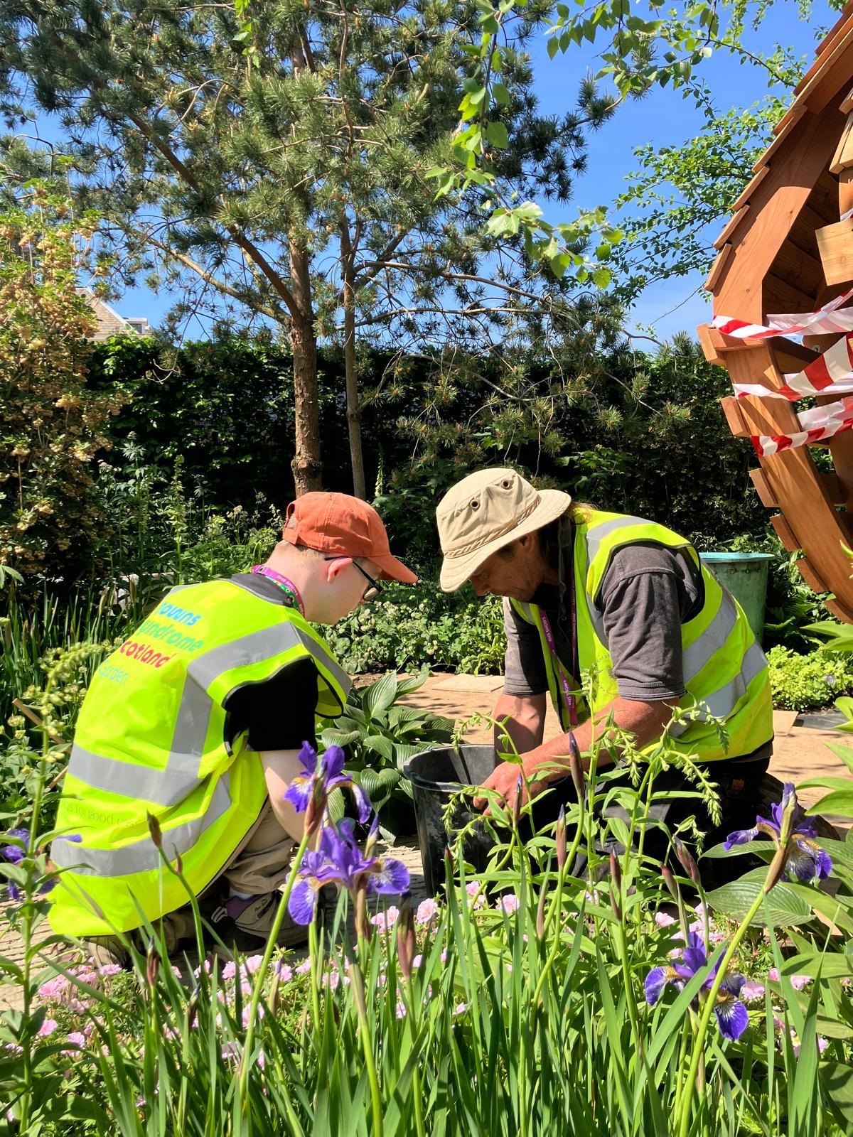 Down Syndrome Scotland garden planting at Chelsea