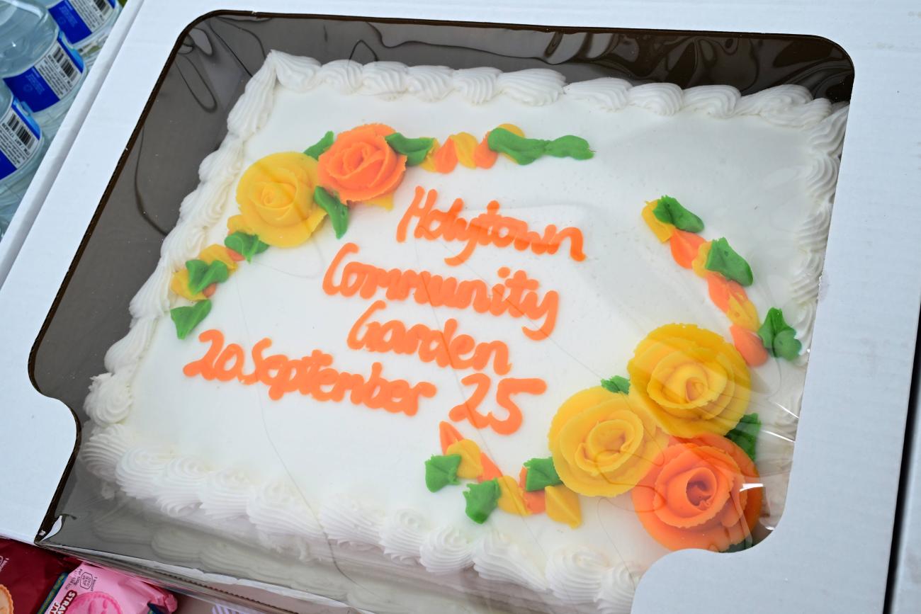 Holytown community garden 5