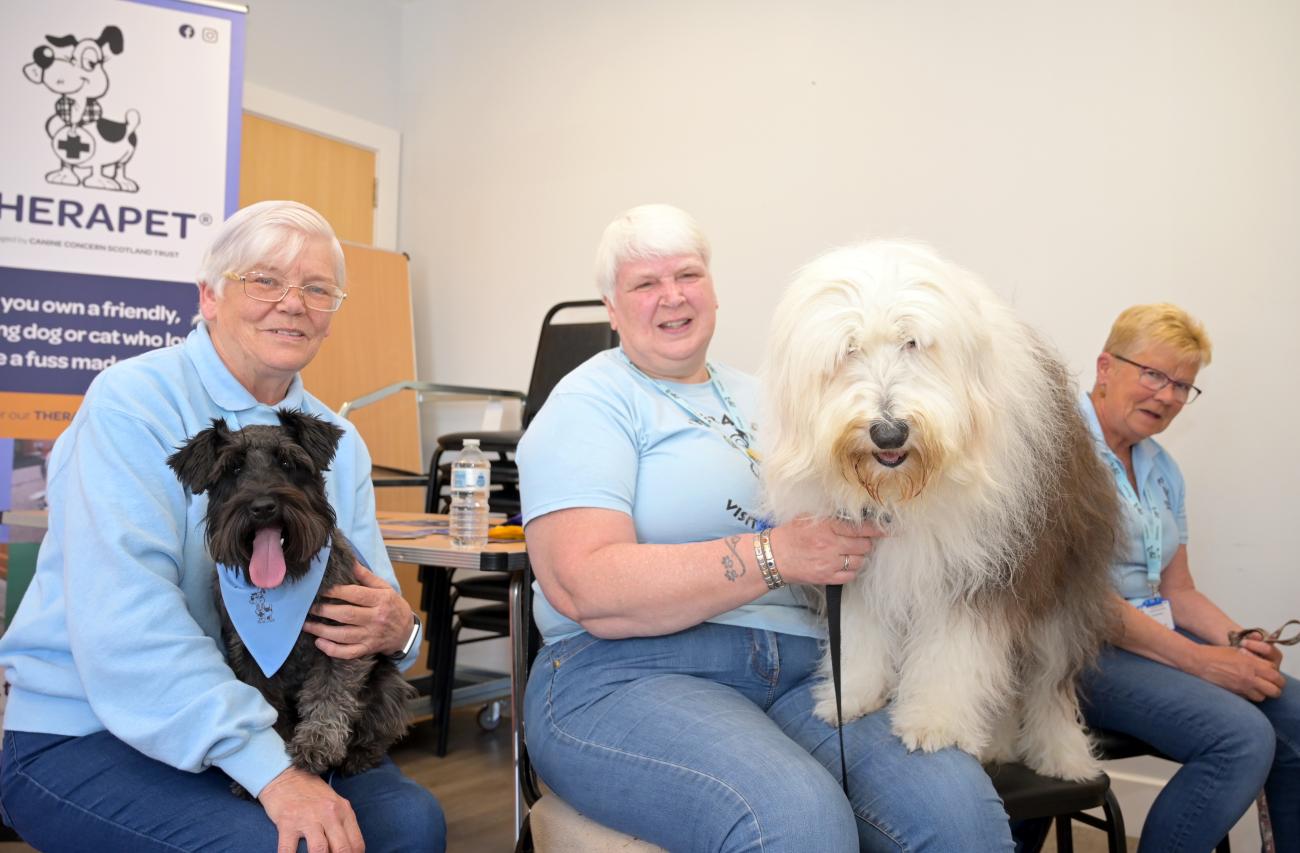 Three people posing with dogs 