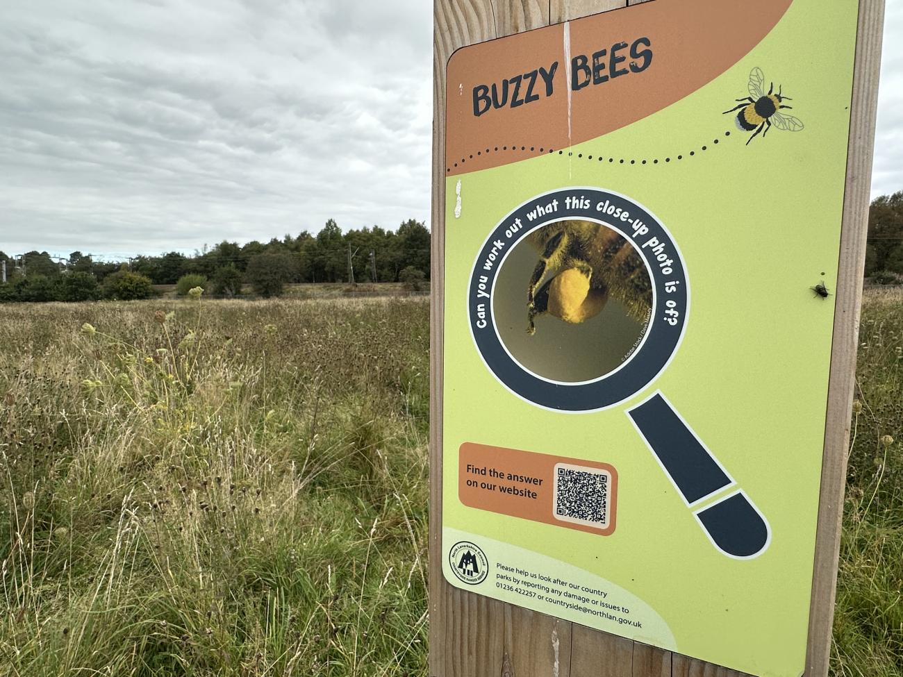 Drumpellier nature trail