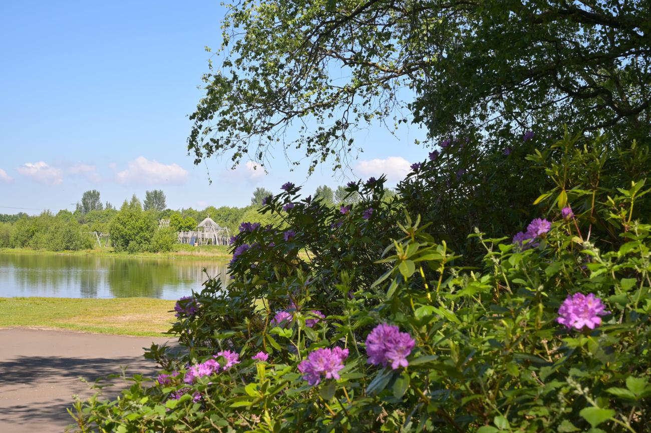 Drumpellier view over loch