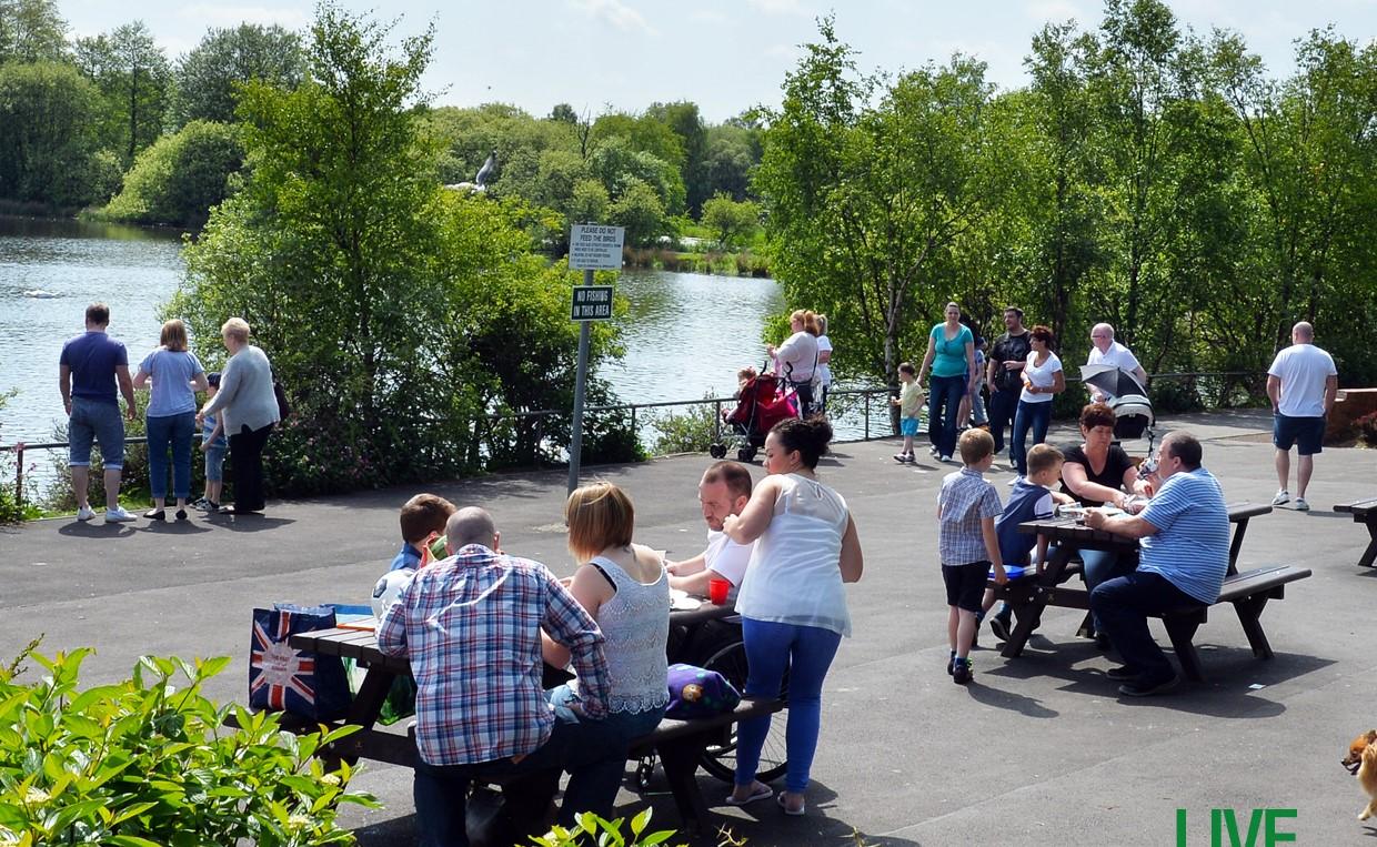 Drumpellier seating outside summer