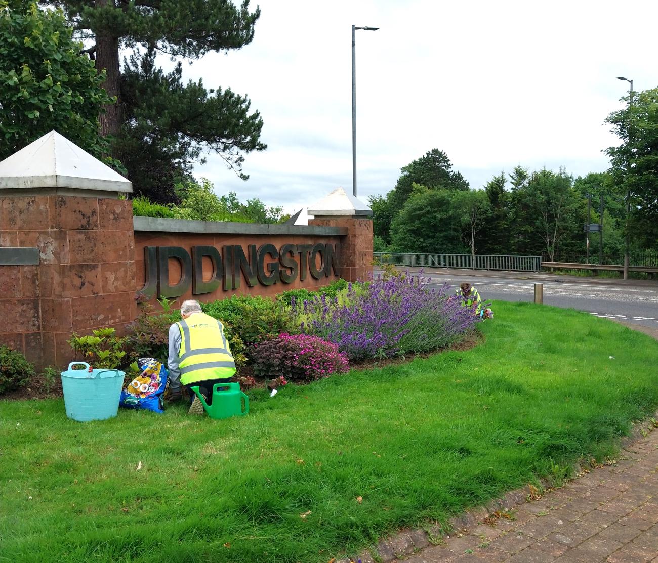 Volunteer planting flora near Uddingston place wall. 