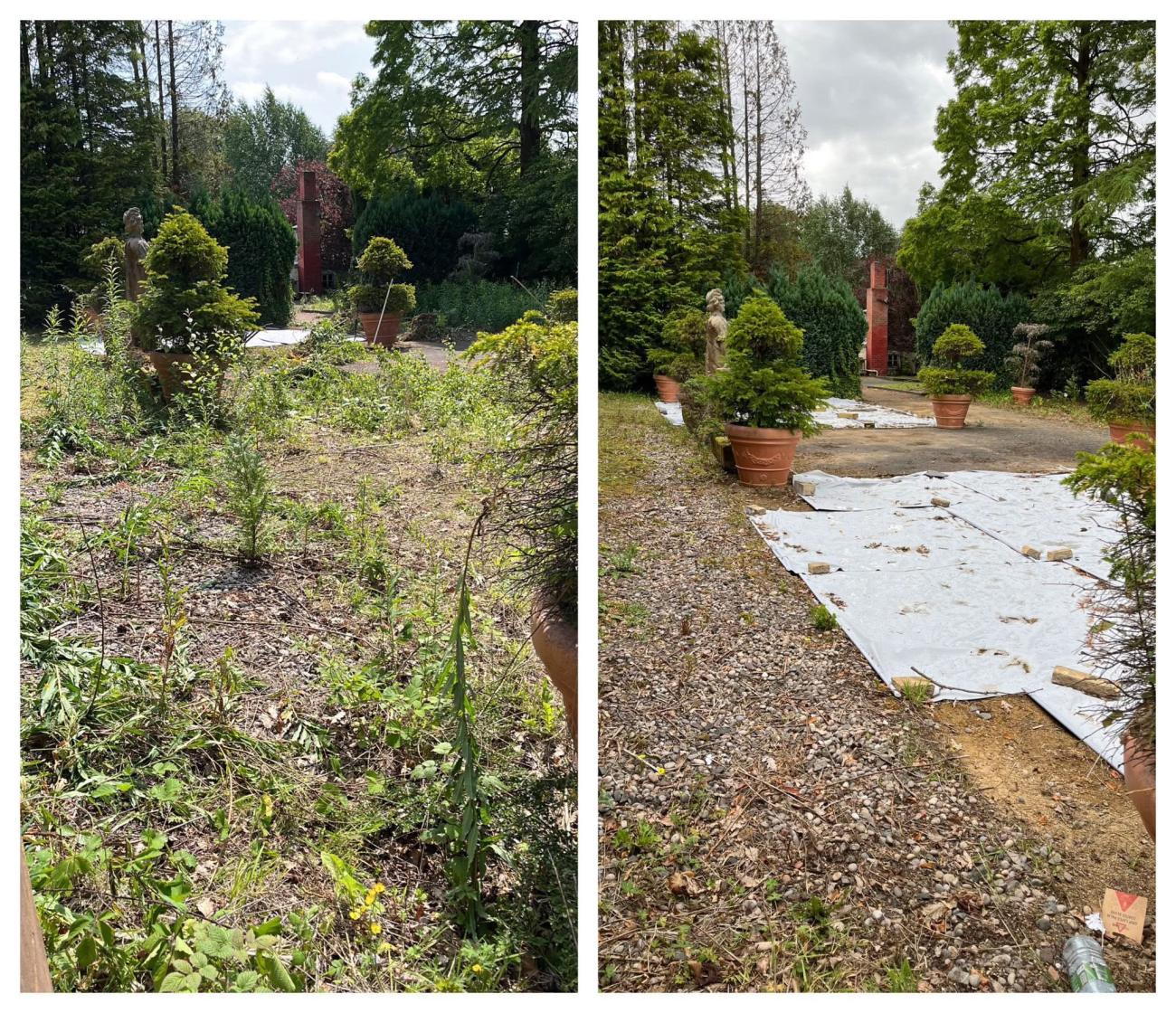 Before and after images. Before image shows overgrown foliage and mossy planters. After image shows cleared foliage and restored planters