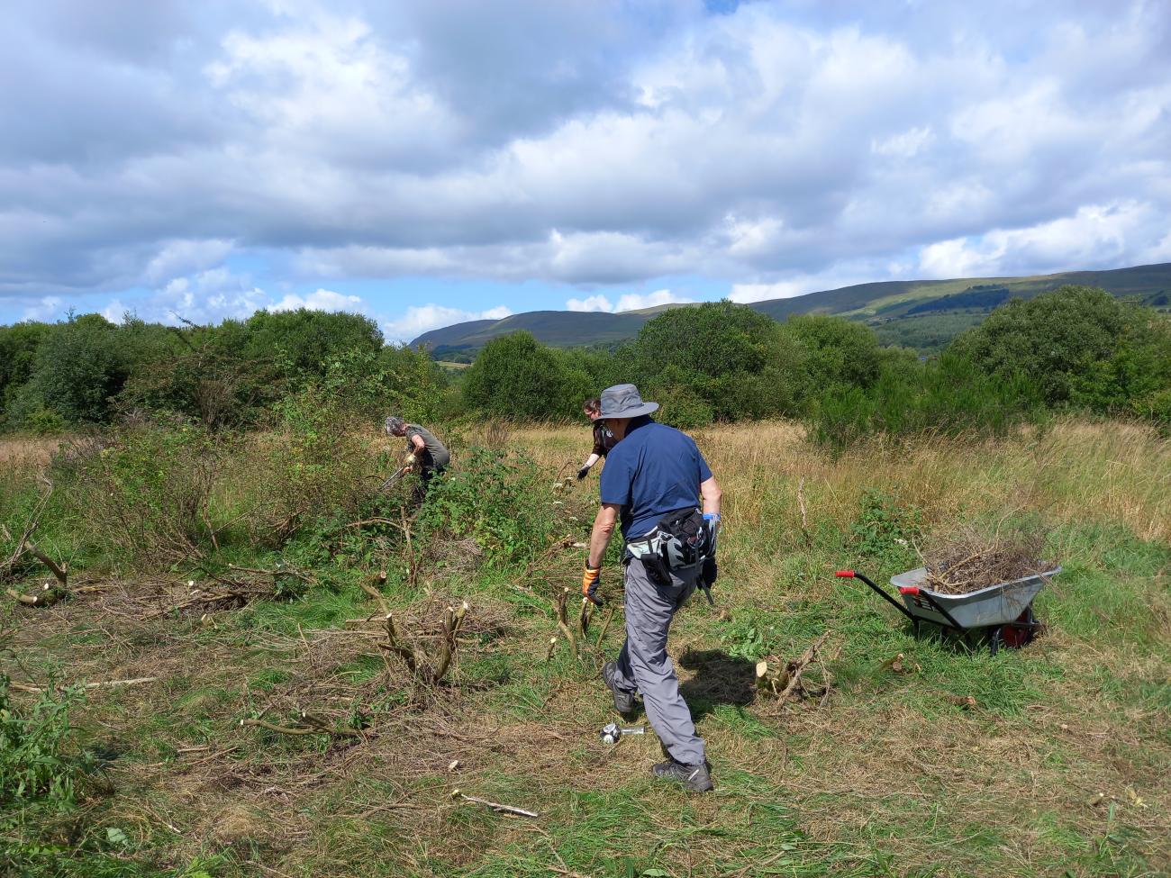 D&G Vegetation Clearance
