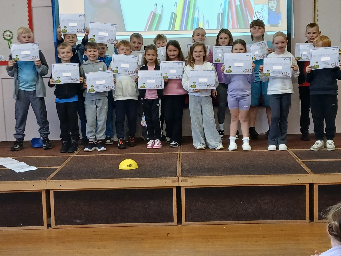 Allanton PS design a sign competition