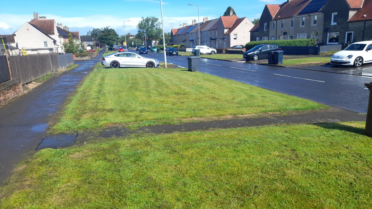 Grass sections lining pavement and road, cars parked on top of grass