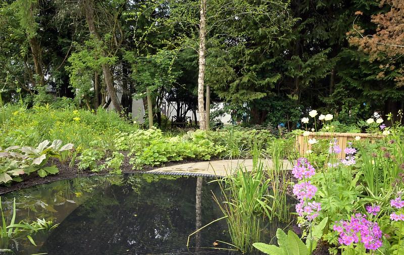 Downs Syndrome Scotland garden water feature