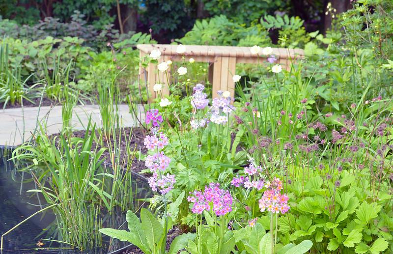 Downs Syndrome Scotland garden flowers