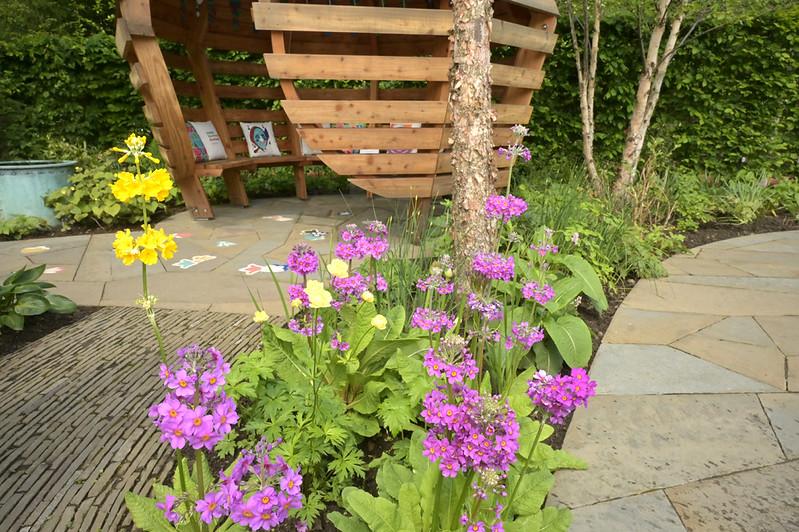 Downs Syndrome Scotland garden path and flowers