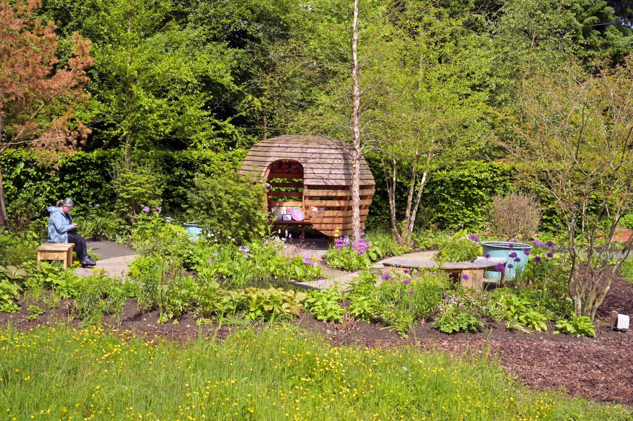 Down Syndrome Scotland garden view