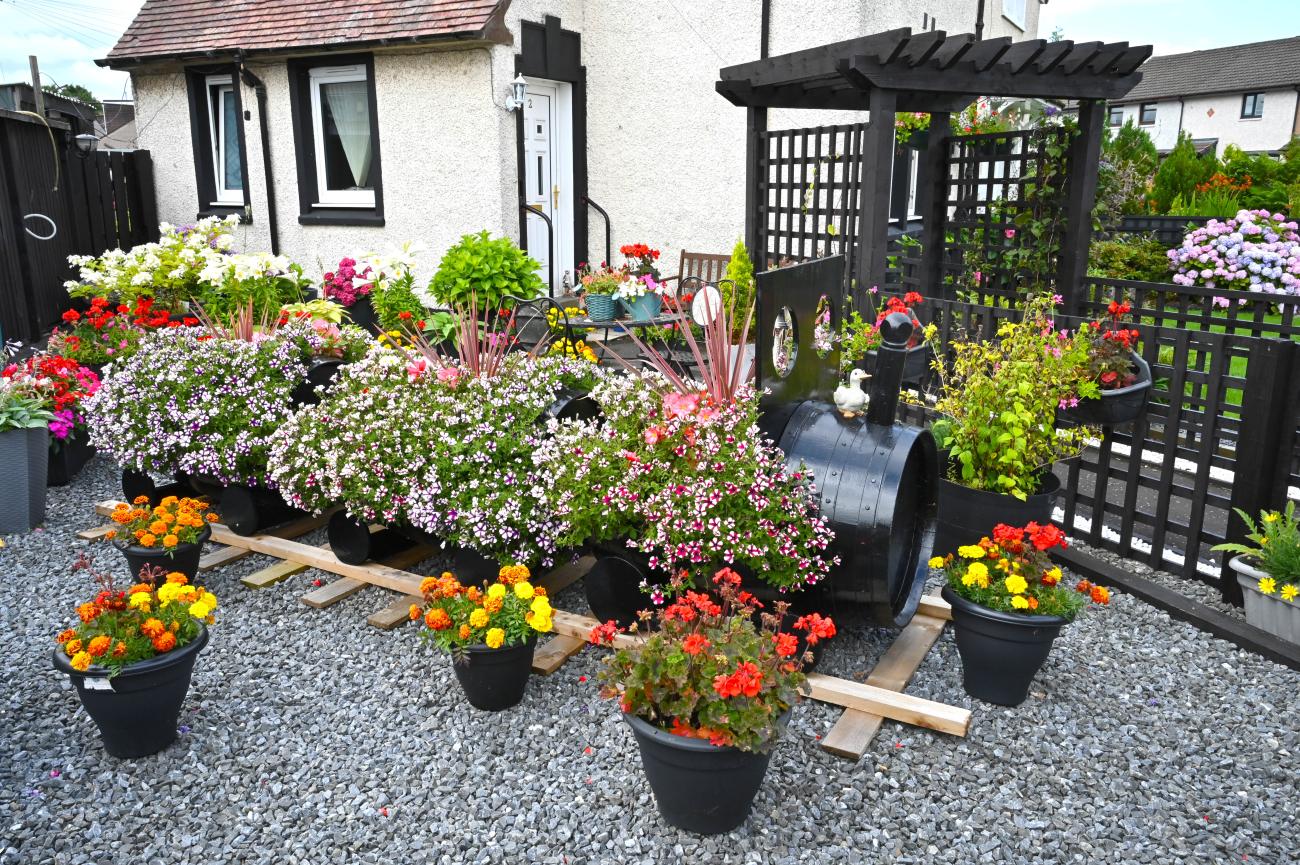 flowers in garden
