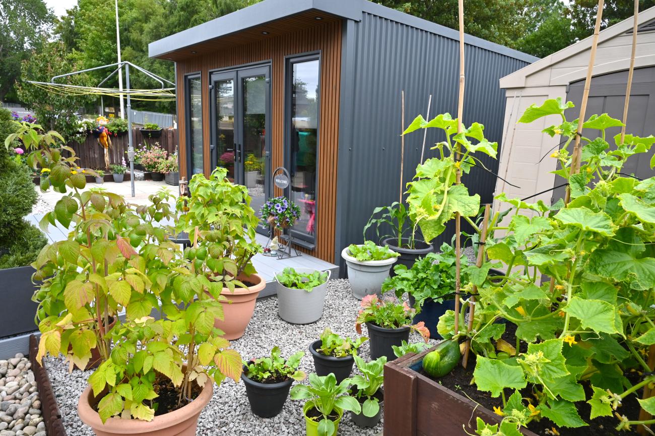 garden room and plants