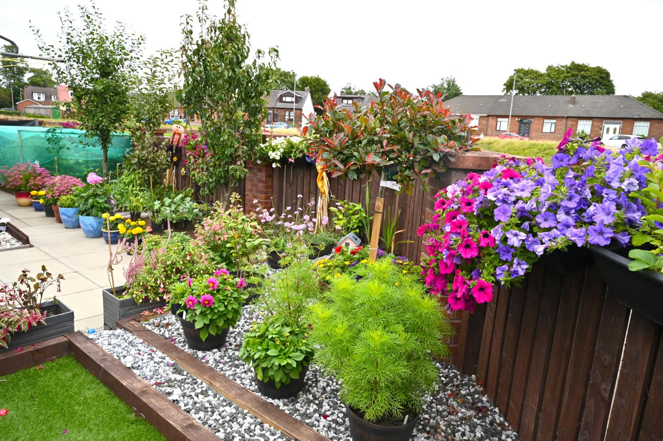 garden with flowers