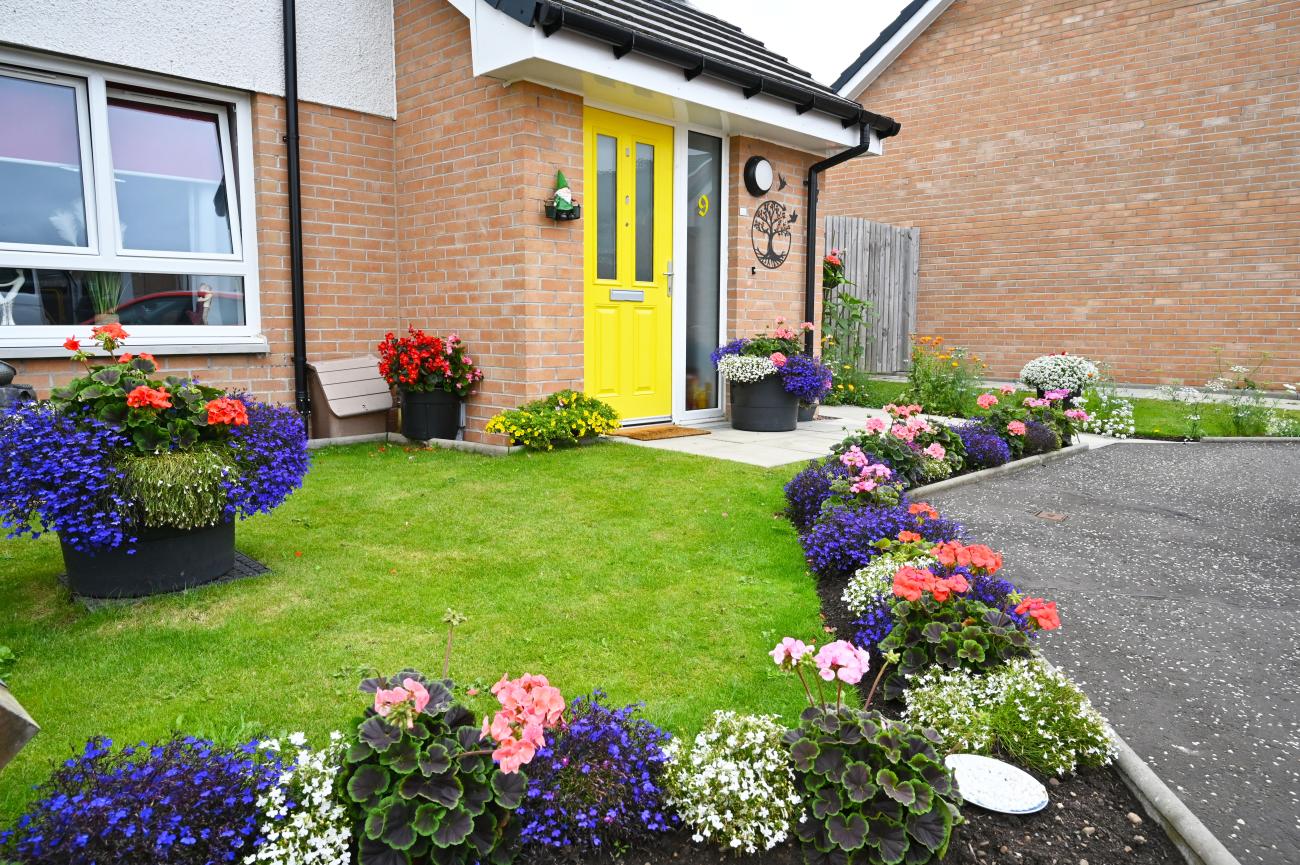 Garden leading up to home